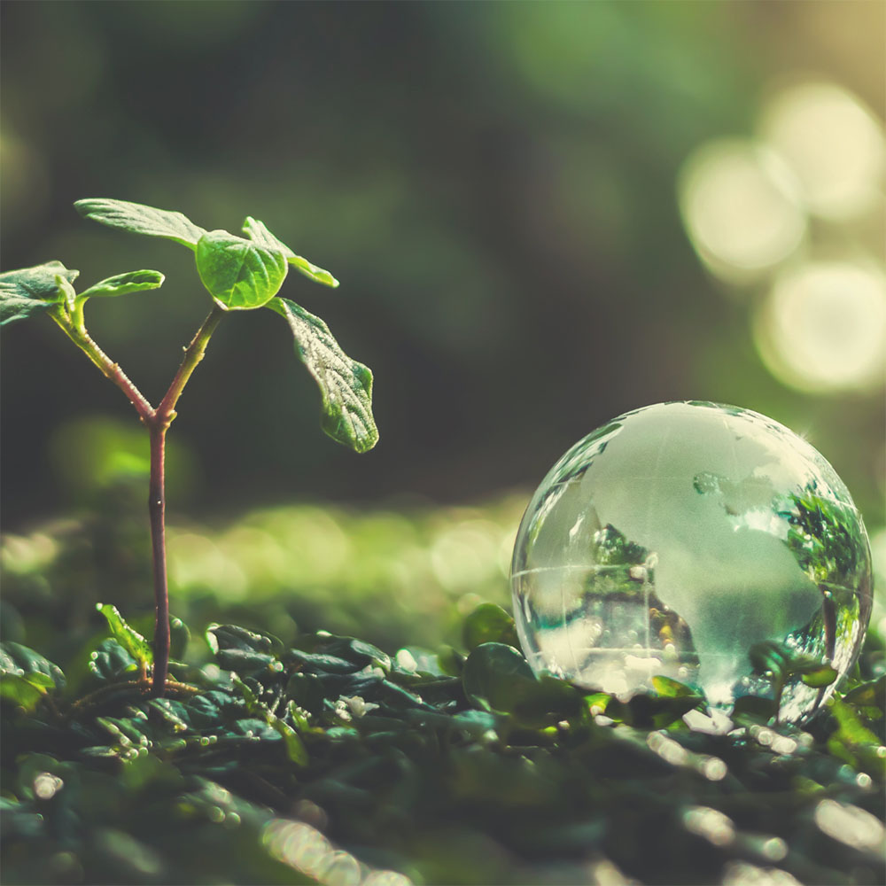 CONTENUTI 5.0 – 10